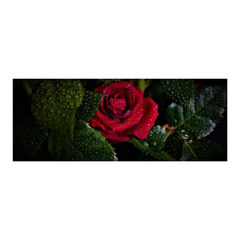 ★中学生の個別相談 転編入生の入学相談　受付中