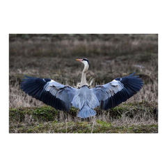 ★中学生の個別相談 転編入生の入学相談　受付中