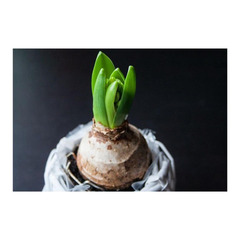 ★中学生の個別相談 転編入生の入学相談　受付中