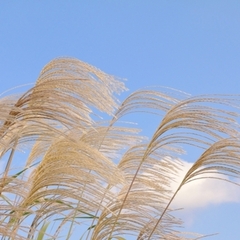 体力に不安がある・・・ぜひ個別面談・相談会にご参加ください