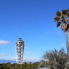 ★中学生の個別相談 転編入生の入学相談　受付中