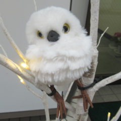 12月5日(月)は「今年度第3回進路ガイダンス」です。