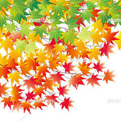 【進路】学校行事等、必要最小限のかかわりで卒業を目指したい！