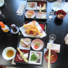 【屋形船に乗ってランチを楽しもう！】を行いました！