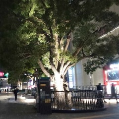 ★転編入募集および中学３年生の個別相談受付中