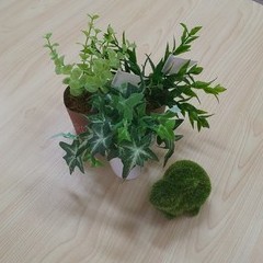 ★転編入募集および中学３年生の個別相談受付中