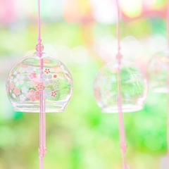 中学生の個別相談 転編入生の入学相談　受付中