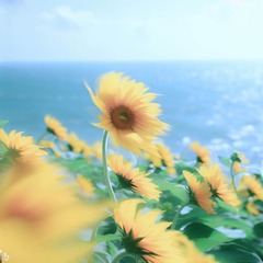 中学生の個別相談 転編入生の入学相談　受付中