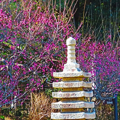 学力に不安がある・・・ぜひ個別面談・相談会にご参加ください