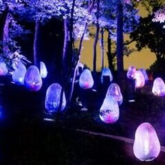 高校生活に不安がある・・・ぜひ個別面談・相談会にご参加ください