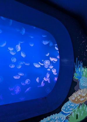 【行事】水族館を満喫しよう！を行いました。