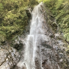 ブログ更新しました！