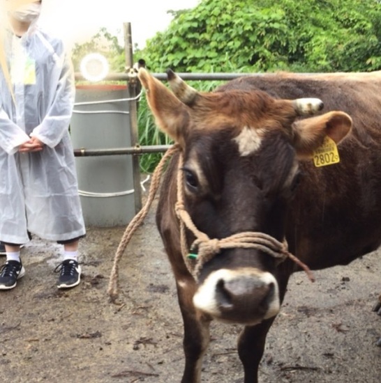 海外では首相が出産、そして産休？