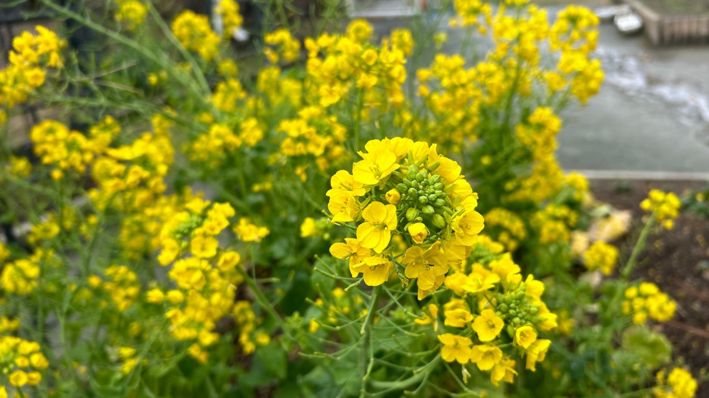 進路についての講演会