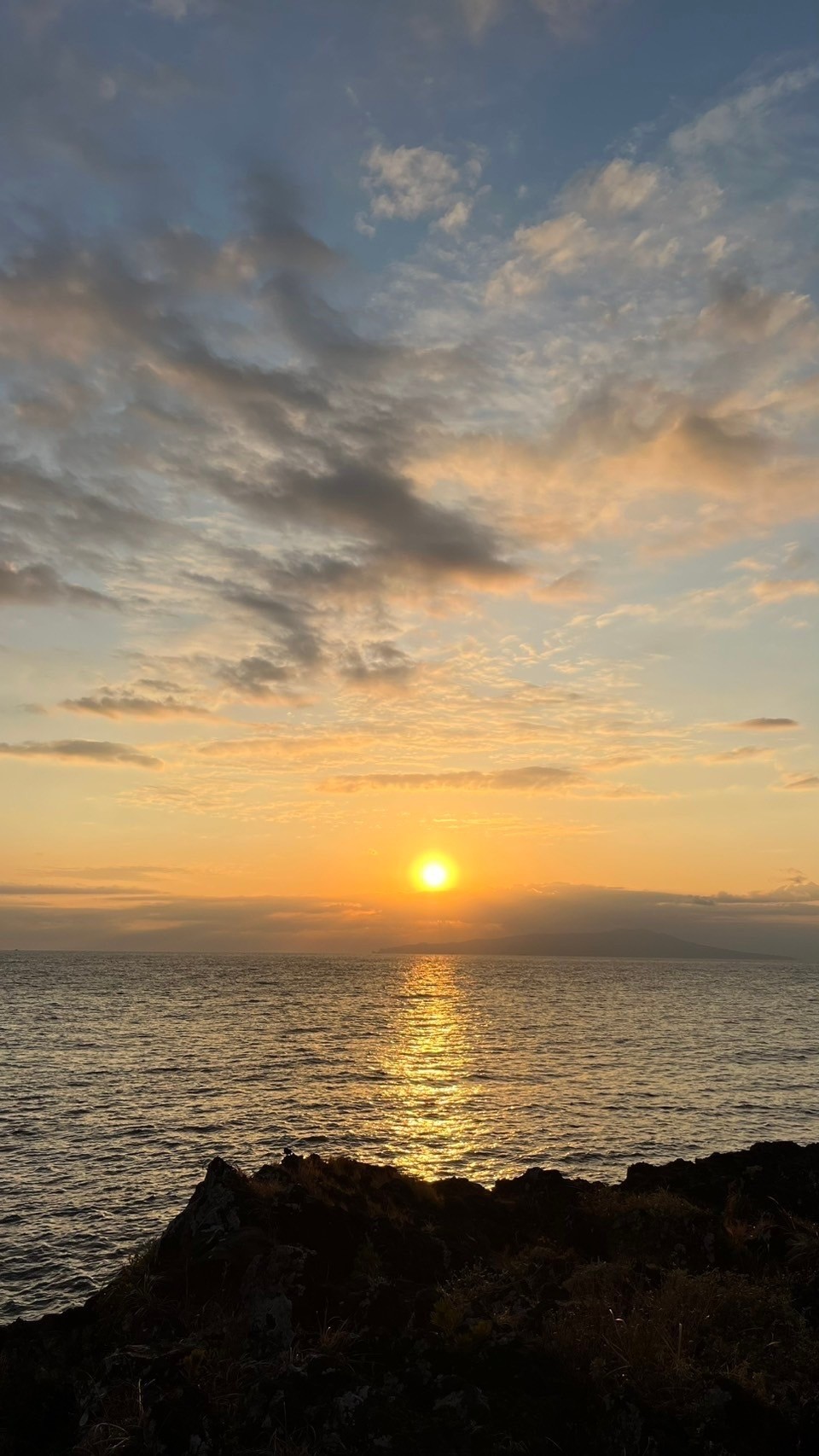 2026年度の募集要項ができました