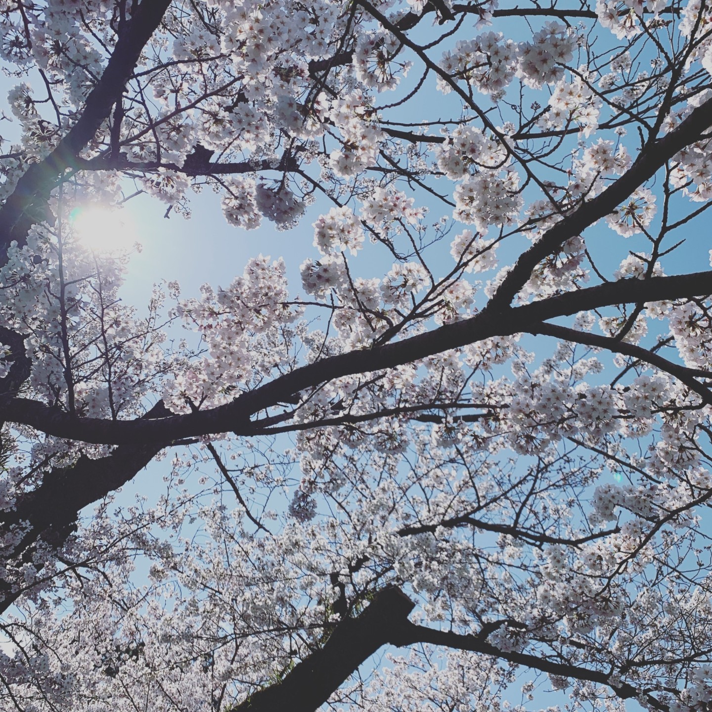 2026年度新入生出願開始しています！