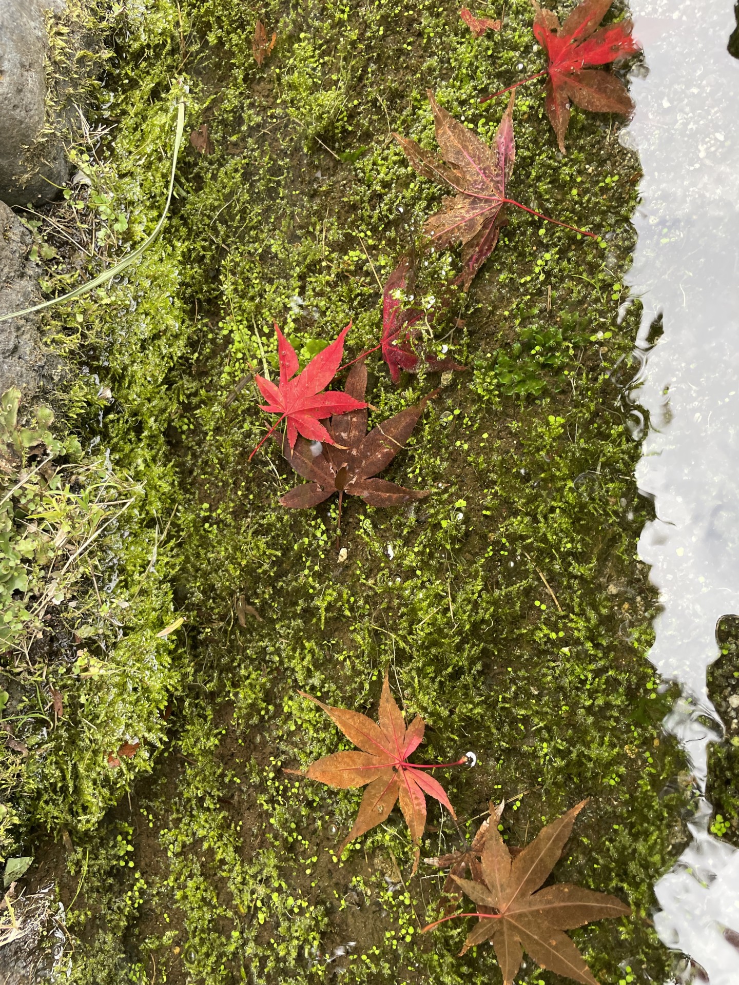 見学・個別相談 随時行っております。