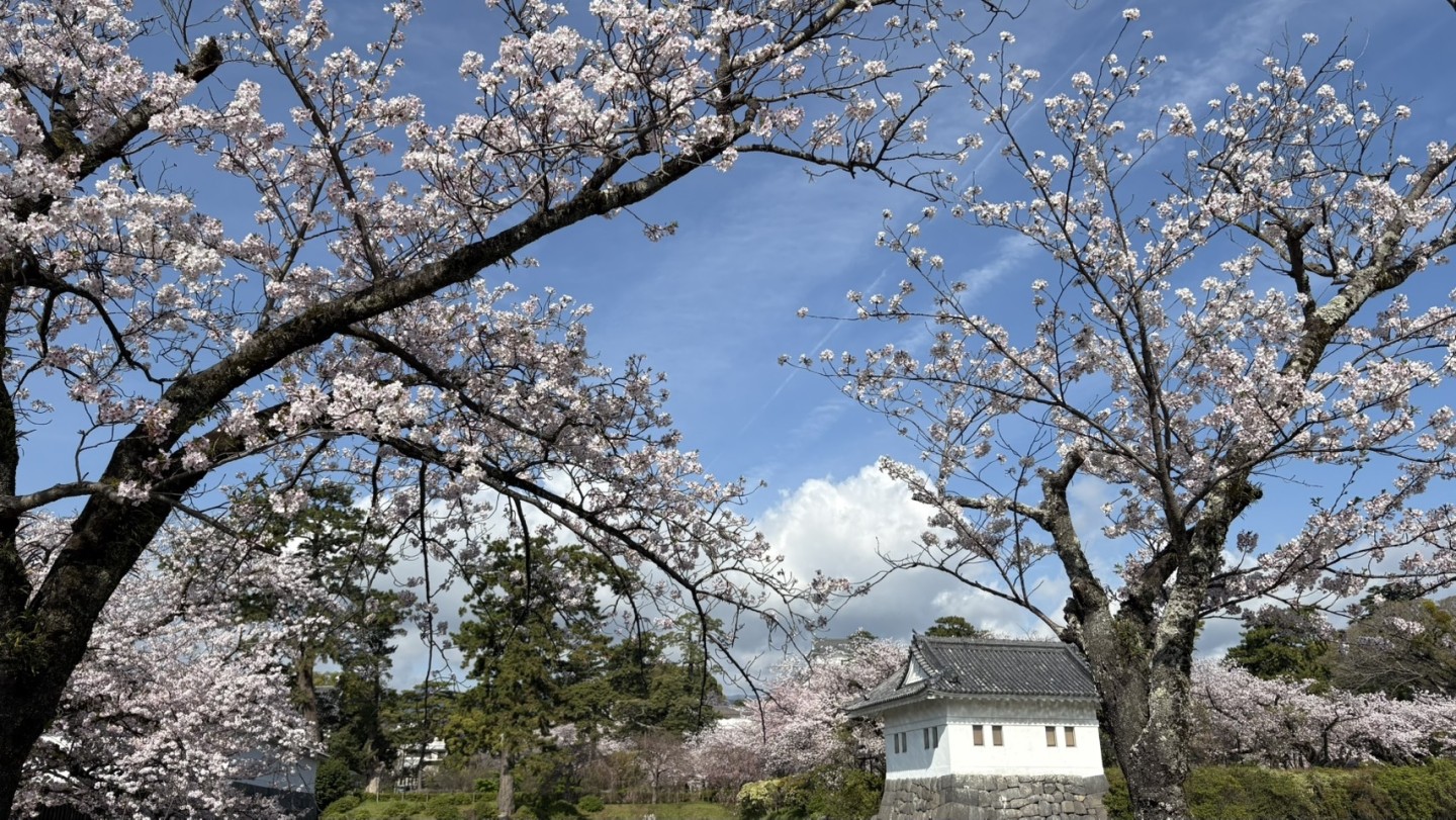 【小田原キャンパス】新年度はじまります！