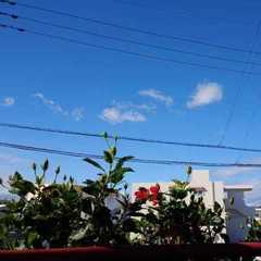 入学相談受付中！お電話でもお気軽に☆