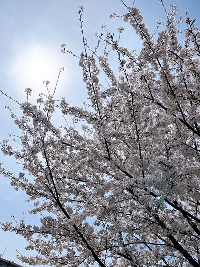 新学年がスタートしました！