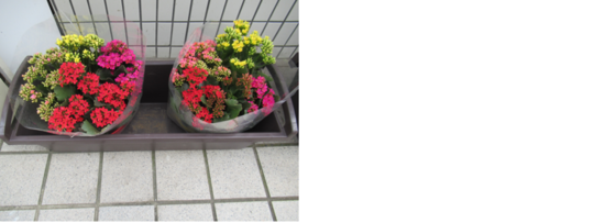 ≪あなたを待っています≫