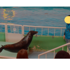 【行事】秋の遠足