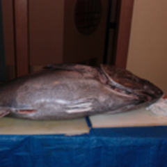 まぐろ解体ショー！