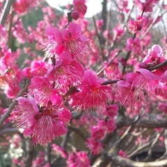 新入生、転・編入生の個別相談は随時