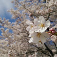 ★R３年度転編入を希望する生徒、保護者のみなさま