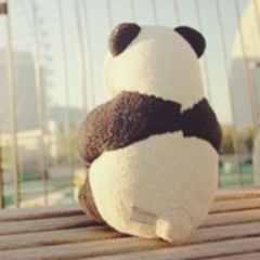 ★転編入生募集および中学生の個別相談受付中