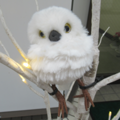 12月5日(月)は「今年度第3回進路ガイダンス」です。