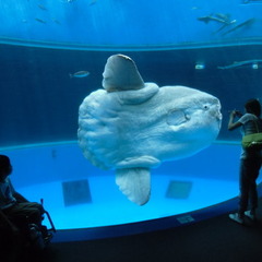 12月26日、27日個別相談会を実施いたします。