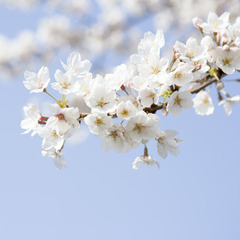 教室見学・学校相談お気軽にお問合せください(^^)/水沢キャンパス