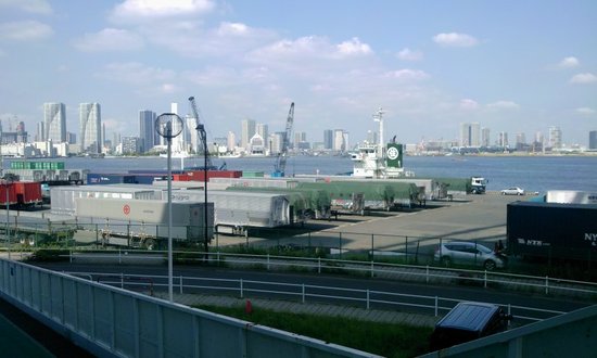 自然に振り回された橋の上