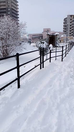 ☆慣れない雪に四苦八苦…☆
