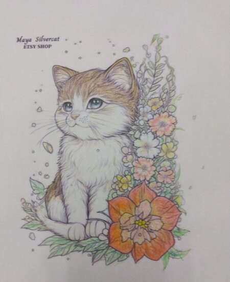 ☆絵が得意になりたい！☆