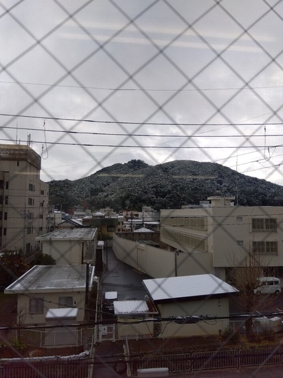 冬らしくなってきました