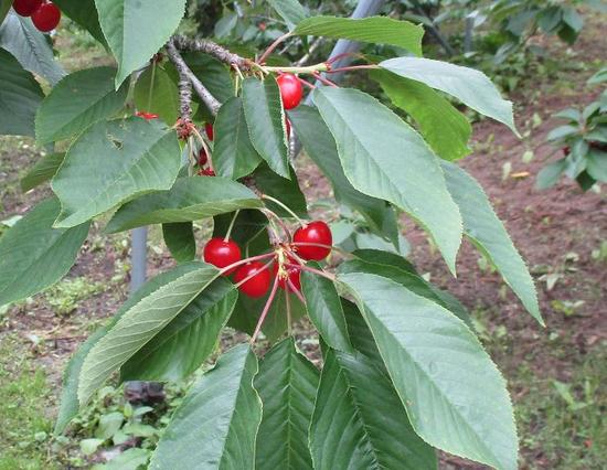 学校のお悩みをお持ちの方、ご相談ください！二戸キャンパス