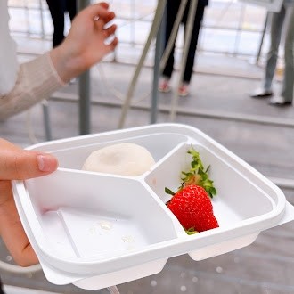 🩷🍓春の遠足　いちごがり🍓🩷