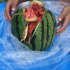 ☆市川キャンパス夏季休業のお知らせ☆