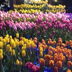 さあ~いよいよ始まりますよ~