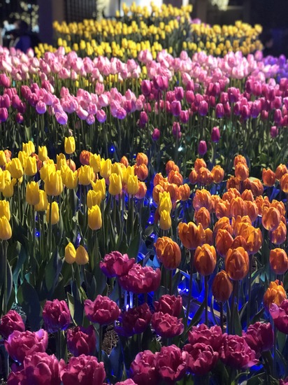 新入生歓迎イベント