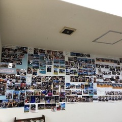 さあ~始まりますよ~♪