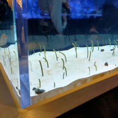 ◎流山キャンパス◎ 無料の個別相談受付中！