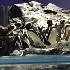 転編入のご相談随時受け付けております☺流山キャンパス