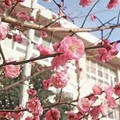 令和８年度の入学について【流山キャンパス】