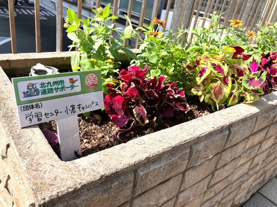 花植えのボランティアに行ってきました！