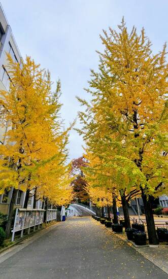 Ⅱ期スクーリング