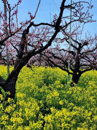 新学期スタート！