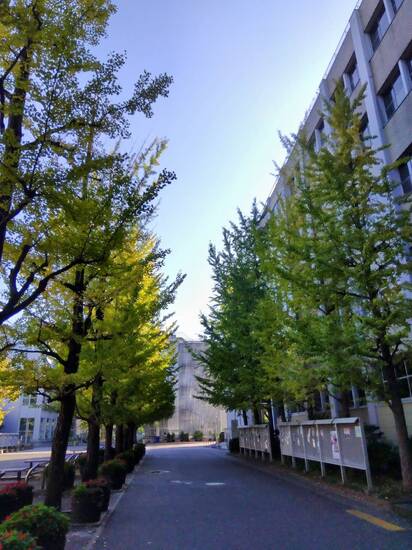 Ⅱ期面接指導スタート